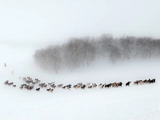 亞布力雪鄉(xiāng)旅游價(jià)格_亞布力雪鄉(xiāng)旅游要多少錢跟團(tuán)_到亞布力雪鄉(xiāng)旅游多少錢