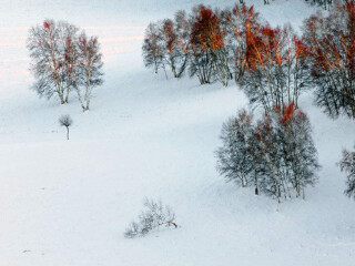亞布力雪鄉(xiāng)旅游價(jià)格_亞布力雪鄉(xiāng)旅游要多少錢跟團(tuán)_到亞布力雪鄉(xiāng)旅游多少錢