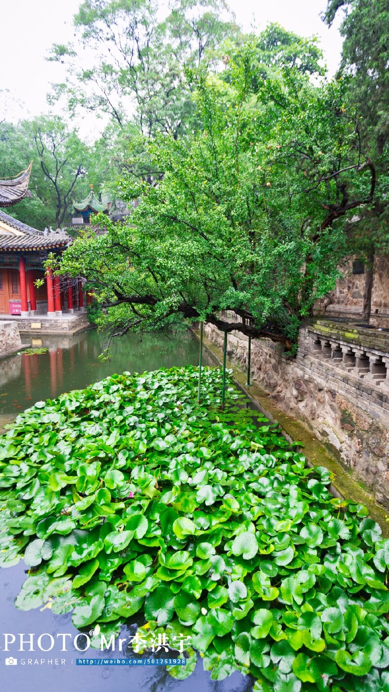 西安 | 十三朝古都风韵,流连华清宫,骑行古城墙