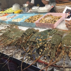 景点模块 