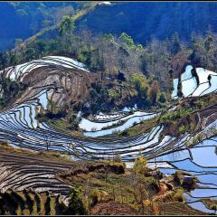 景点模块 