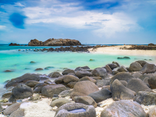 海南三亞自由行還是跟團好_深圳到海南三亞旅游報價_去海南三亞報團多少錢