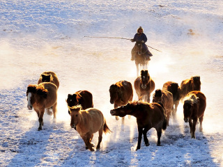 暑假東北亞布力滑雪游價格_東北亞布力滑雪最佳旅游路線_東北亞布力滑雪旅游費用