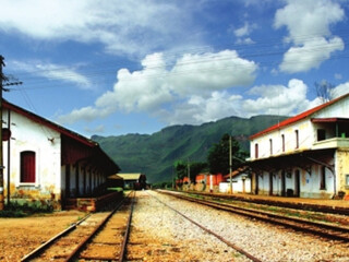 罗平油菜花旅游人次_多少钱罗平油菜花旅游_罗平油菜花著名旅游