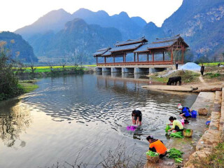 罗平油菜花旅游人次_多少钱罗平油菜花旅游_罗平油菜花著名旅游