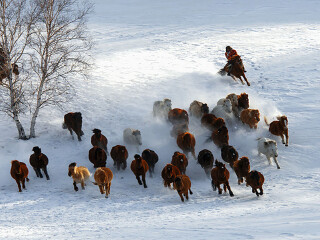 亞布力雪鄉(xiāng)旅游價(jià)格_亞布力雪鄉(xiāng)旅游要多少錢跟團(tuán)_到亞布力雪鄉(xiāng)旅游多少錢