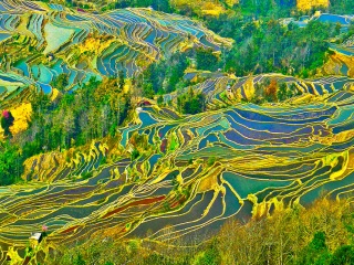 云南昆明自由行組團_云南昆明旅游要多少錢跟團_云南昆明游組團