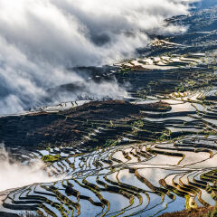 景点模块 
