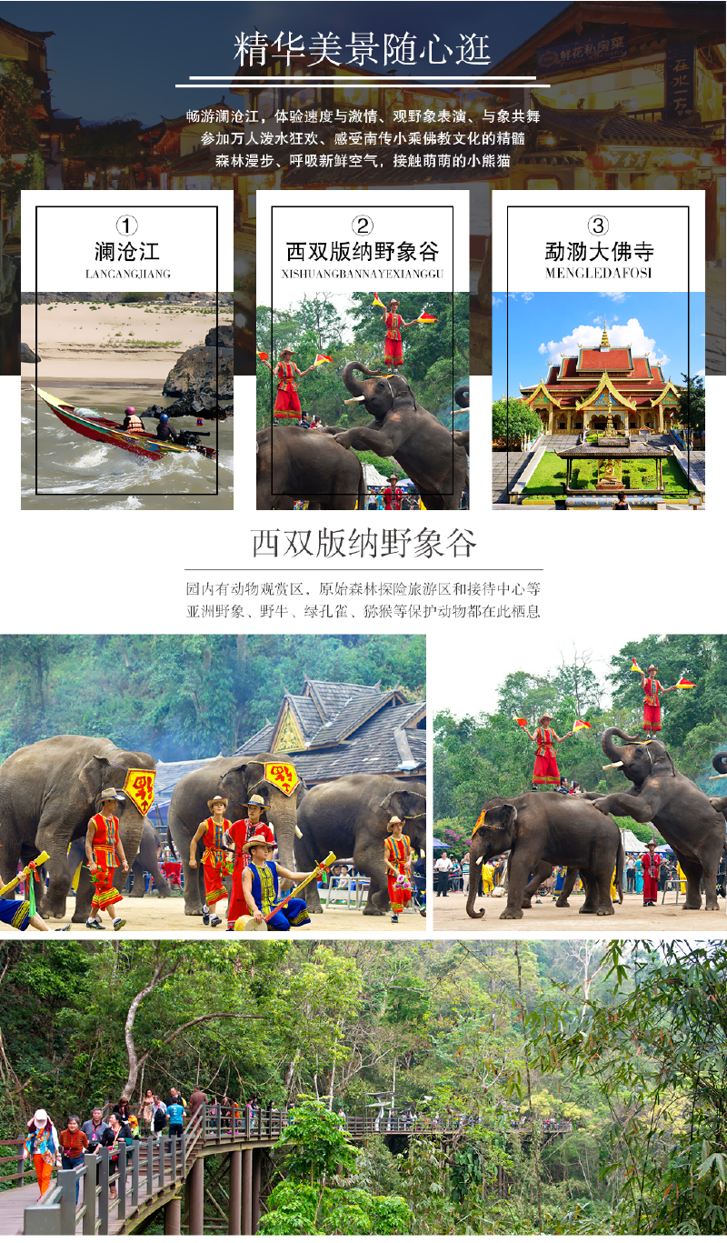 云南旅游西双版纳昆明傣族园勐泐大佛寺澜沧江5晚6日品质跟团游