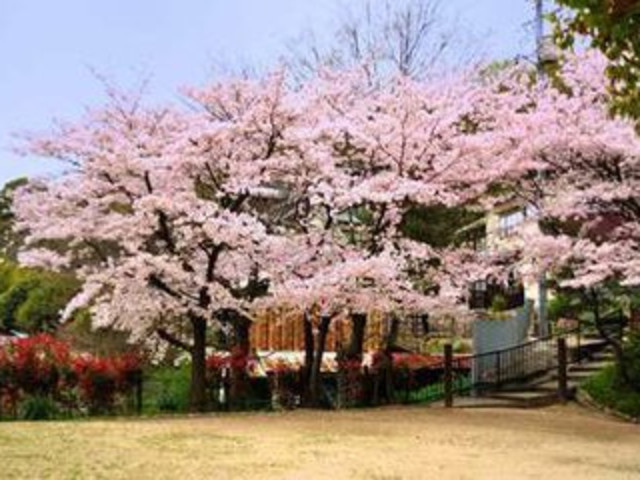 日本广岛6日游 北京直飞 柯南小镇 大原美术馆 妖怪村 乡土玩具馆