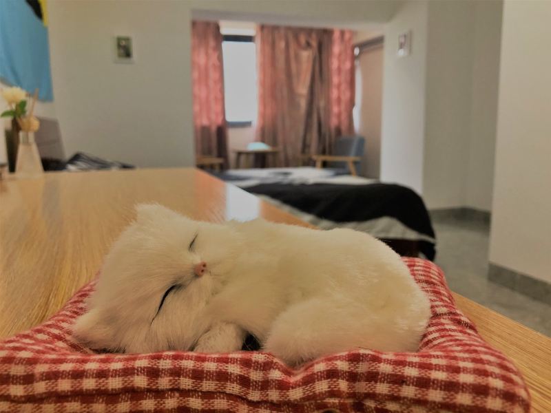 泉州叮当民宿(4号店)