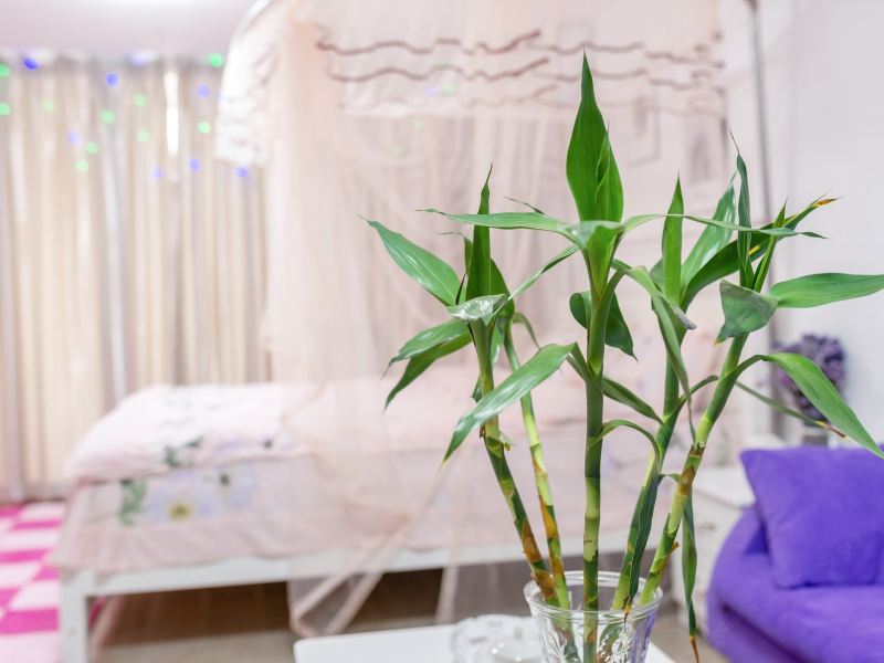 泉州玫瑰有约公寓