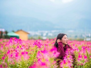 云南6天5晚跟团游_云南5日跟团旅游_至云南旅游