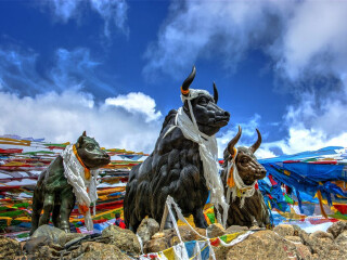 西藏旅游報團(tuán)價格_去西藏旅游多少錢_西藏旅游費用多少