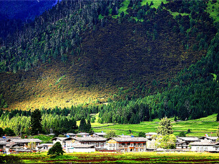 西藏旅游報團(tuán)價格_去西藏旅游多少錢_西藏旅游費用多少