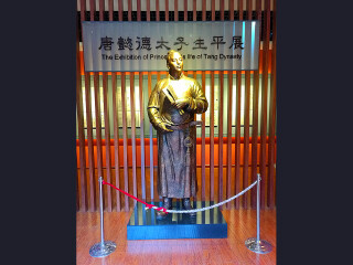 西安華山報(bào)團(tuán)多少錢_西安華山旅游團(tuán)報(bào)價(jià)_西安華山旅行跟團(tuán)