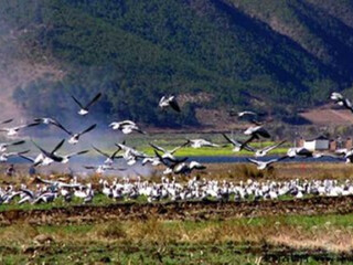 丽江观光旅游_丽江游_丽江游旺季价格