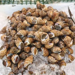 餐饮模块 