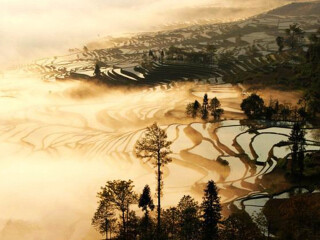 旅行團云南普者黑游_云南普者黑游價格_云南普者黑半自由行
