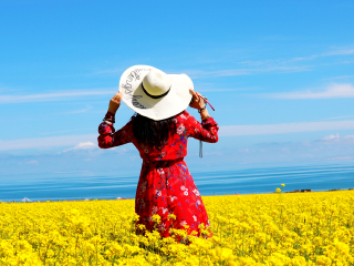 深圳包团青海旅游价格_青海旅游小团_7月赴青海旅游