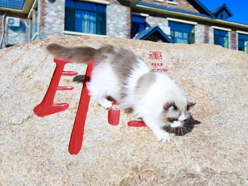 亚布力华夏取舍精品酒店