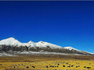 西藏旅游報團(tuán)價格_去西藏旅游多少錢_西藏旅游費用多少