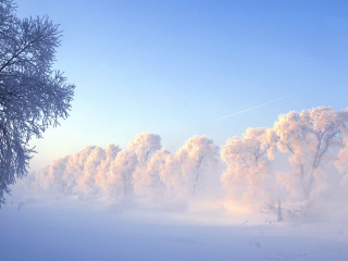 亞布力雪鄉(xiāng)旅游報價_亞布力雪鄉(xiāng)自由行費(fèi)用_到亞布力雪鄉(xiāng)旅游