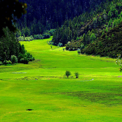 香格里拉 景点模块