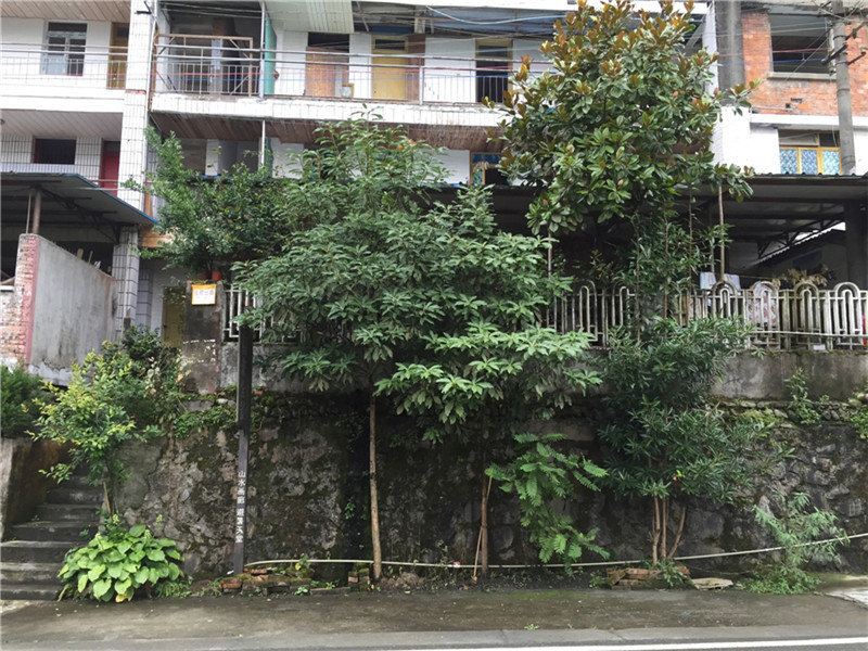 彭州福来全景