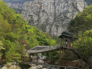 旅游去廬山_廬山八月份旅游_到廬山旅游