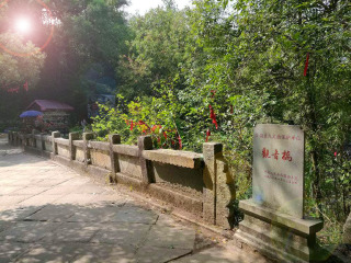 旅游去廬山_廬山八月份旅游_到廬山旅游