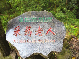 報(bào)團(tuán)去湖南張家界多少錢_湖南張家界跟團(tuán)還是自由行_以往國慶湖南張家界游價(jià)格