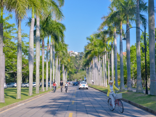 廈門鼓浪嶼旅游跟團(tuán)多少錢_廈門鼓浪嶼旅游花多少錢_廈門鼓浪嶼半自由行