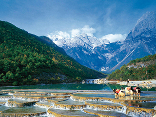 云南五天旅游_云南8日游_云南旅游跟团游