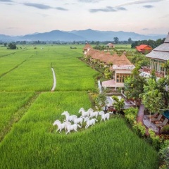 景点模块 