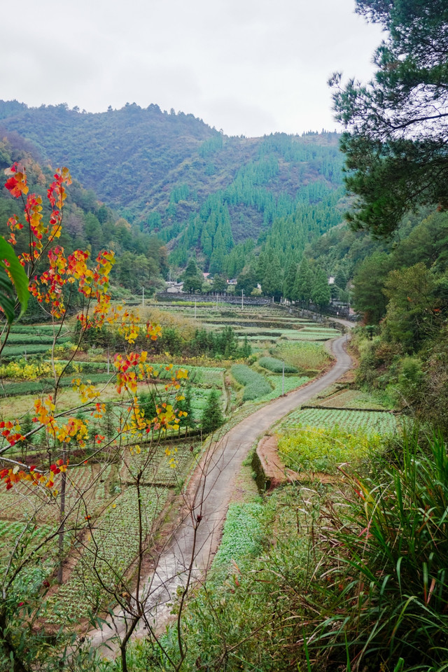 大致需要40分钟,一览众山小的景观相当震撼,汾口的田园村庄尽收眼底