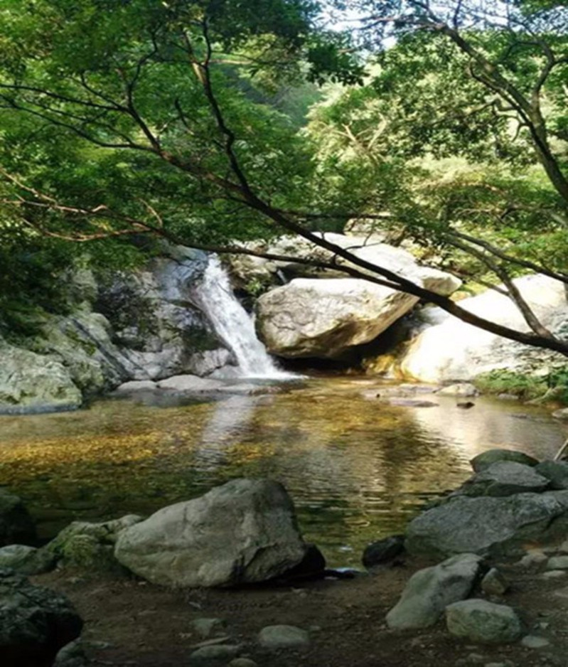 栾川奇境三日游_栾川红豆杉景区游记_途牛