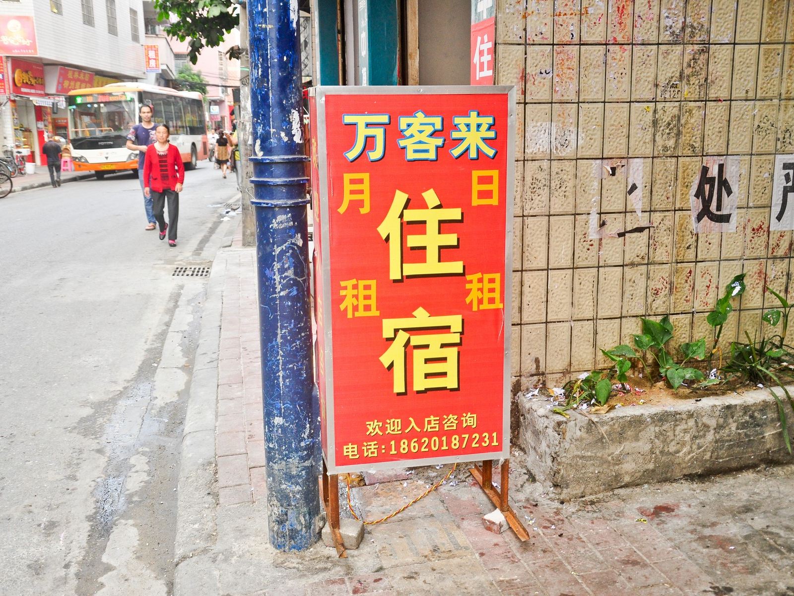 外观