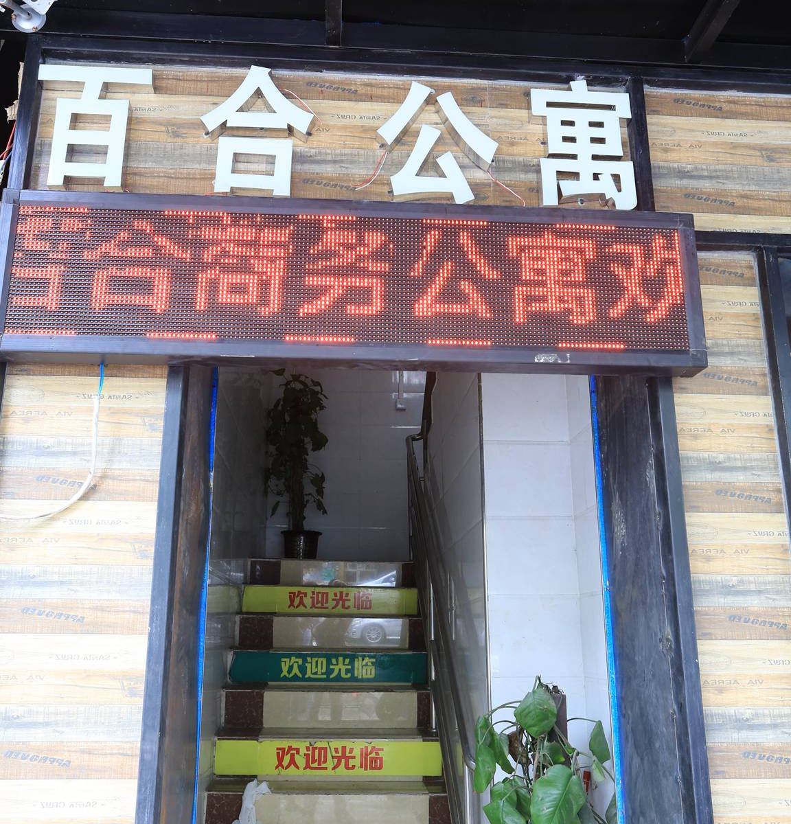 外观