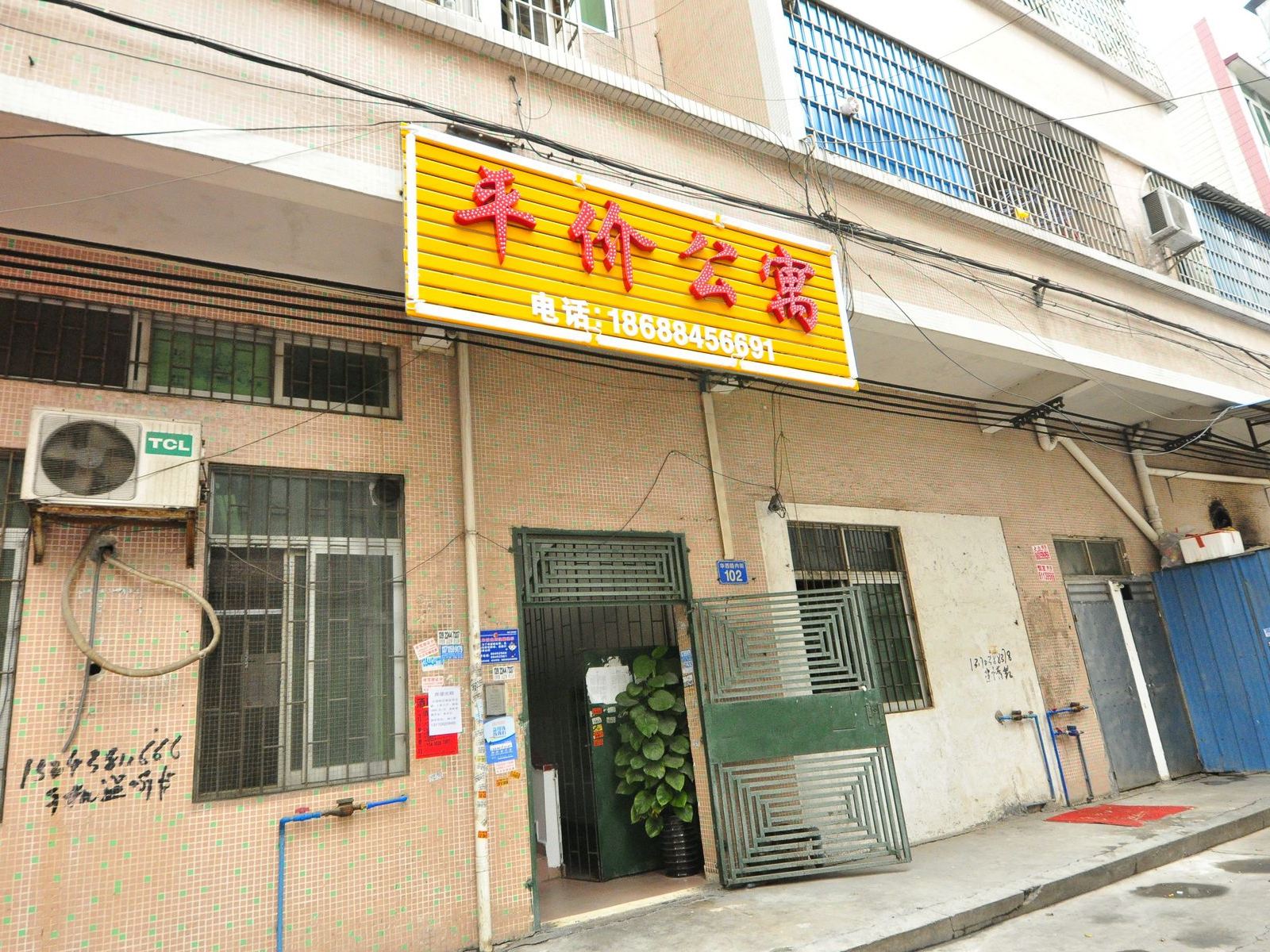 外观