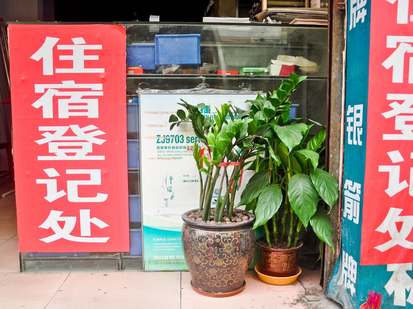 外观