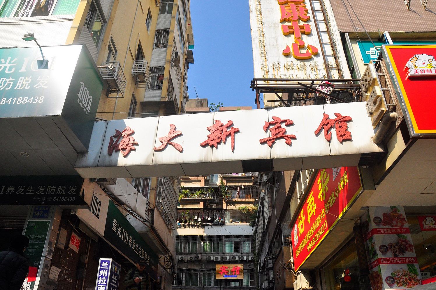 外观