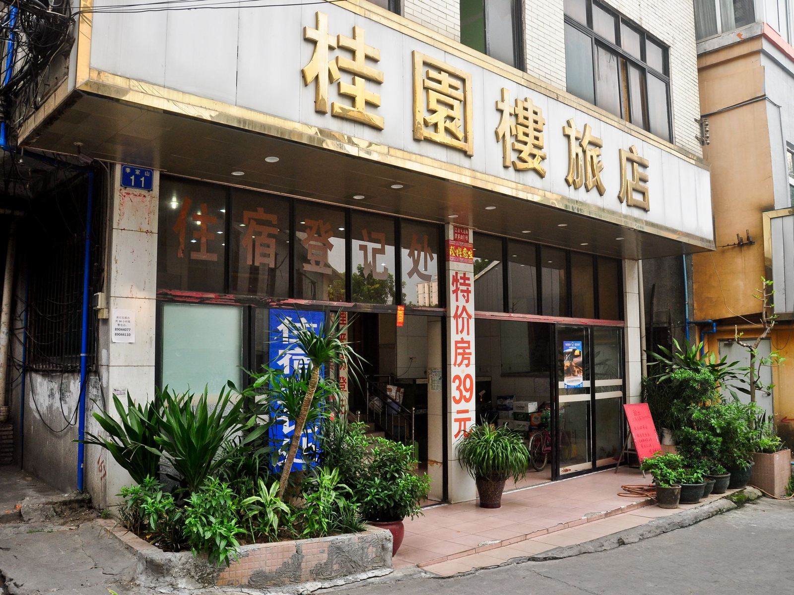 外观