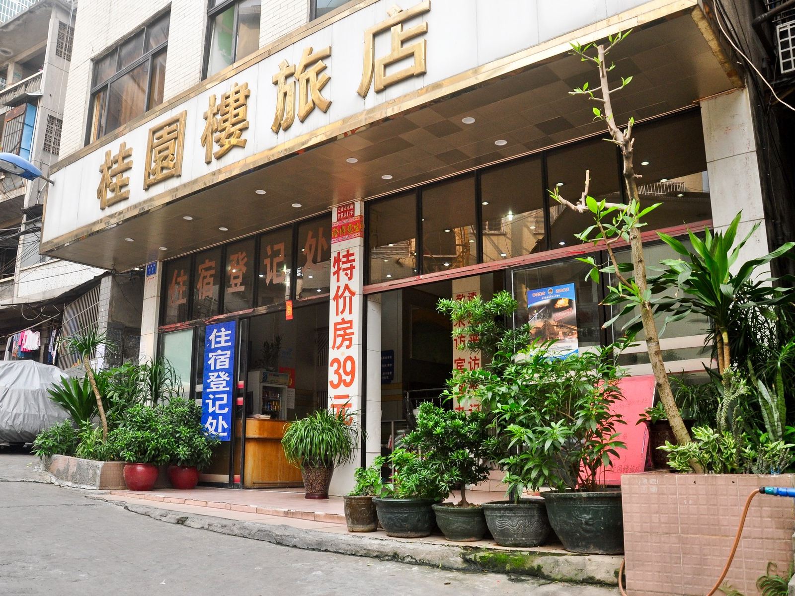 外观