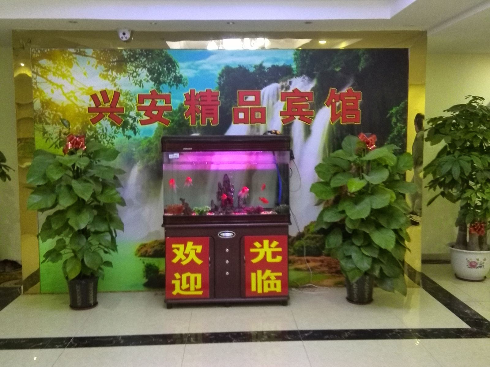 公共区域