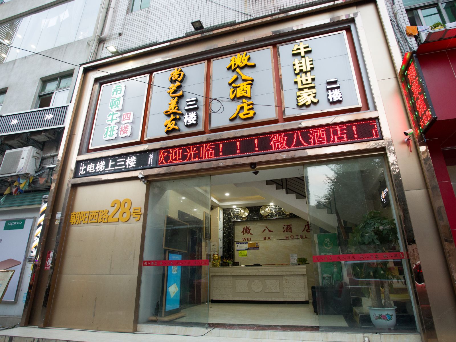 外观