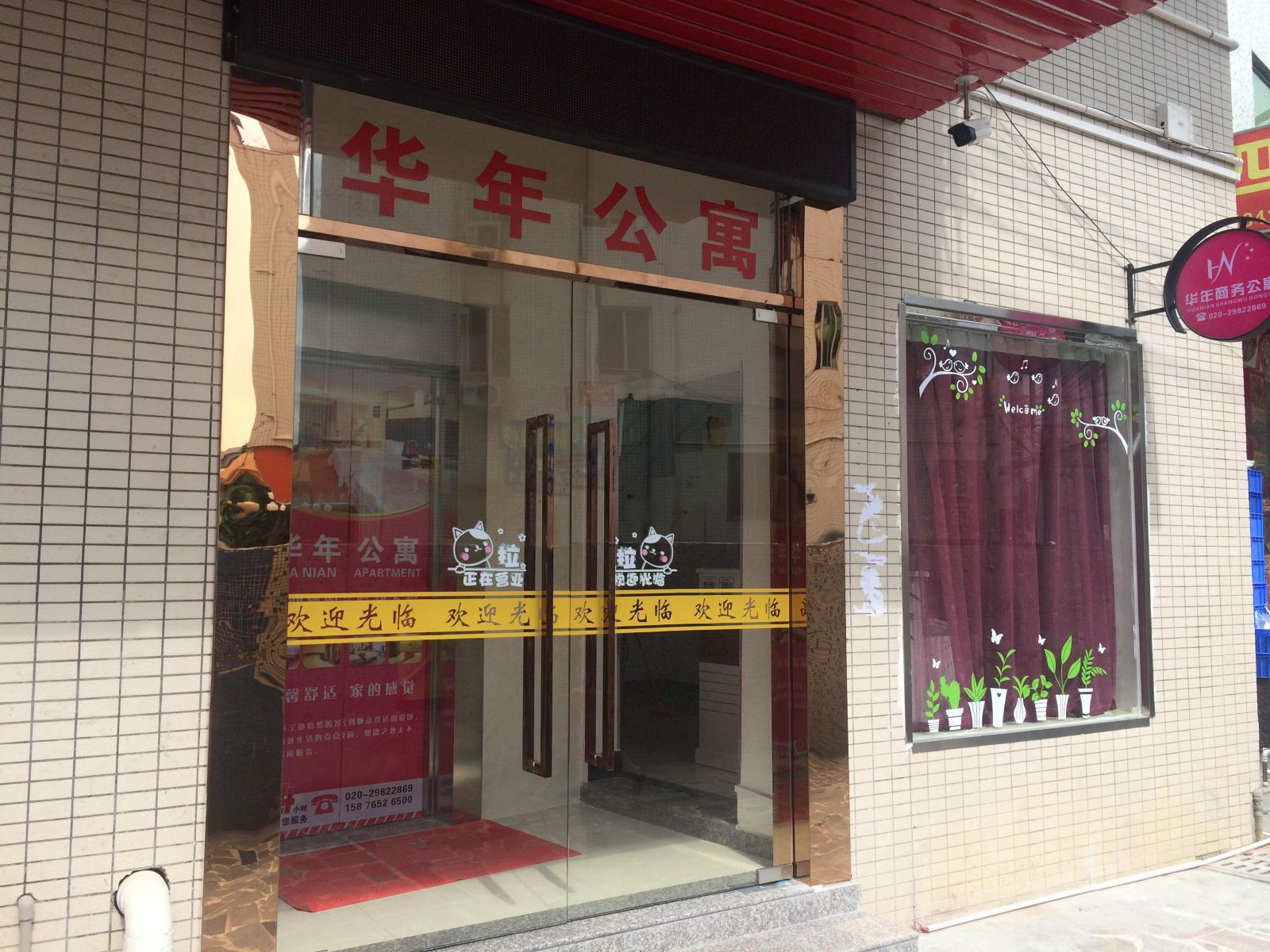 外观