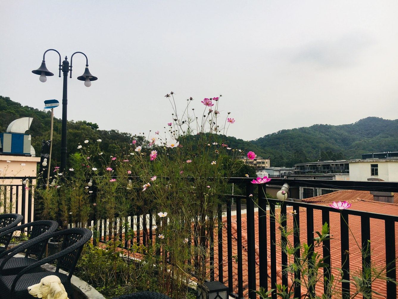 其他