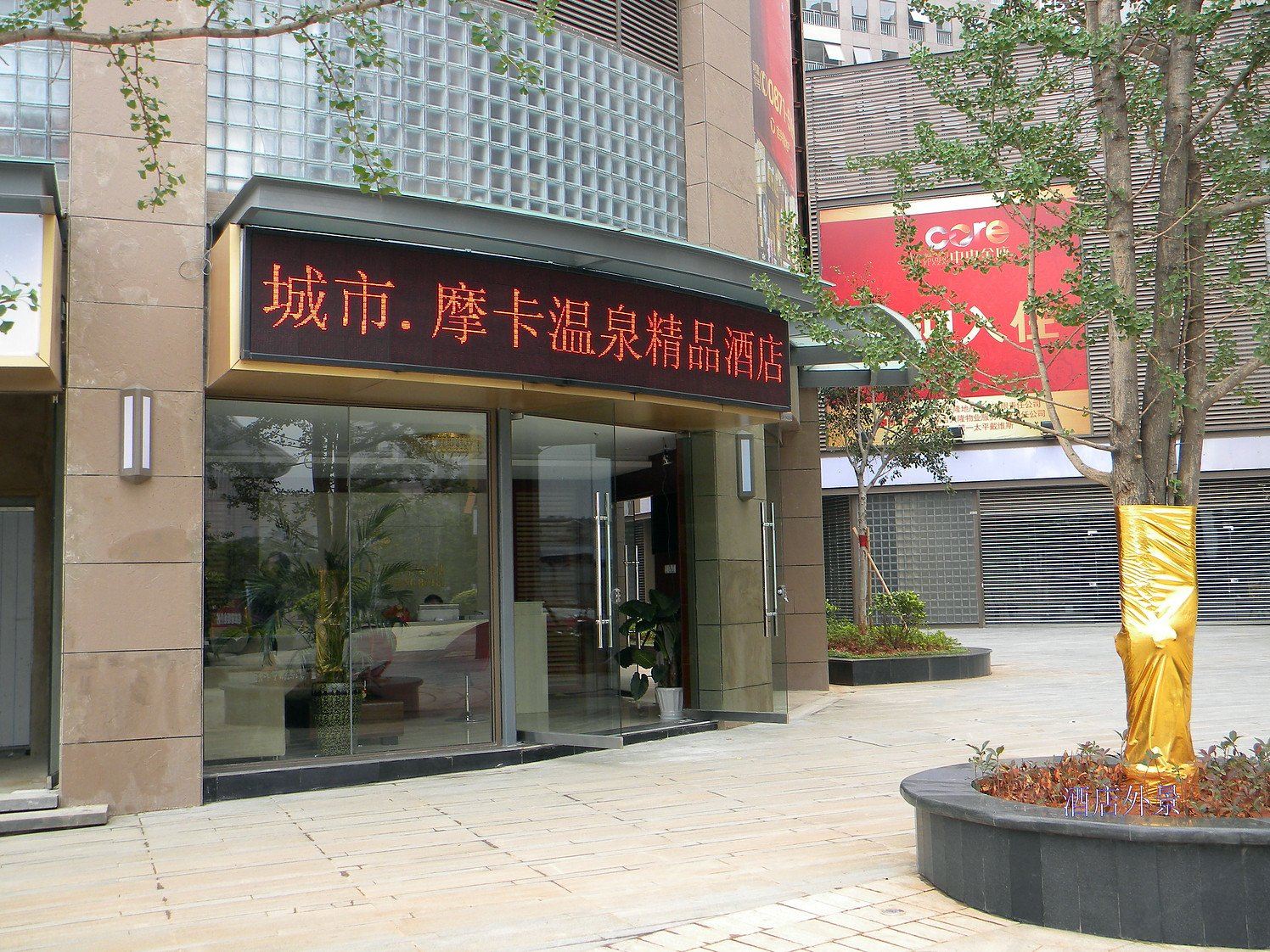 外观