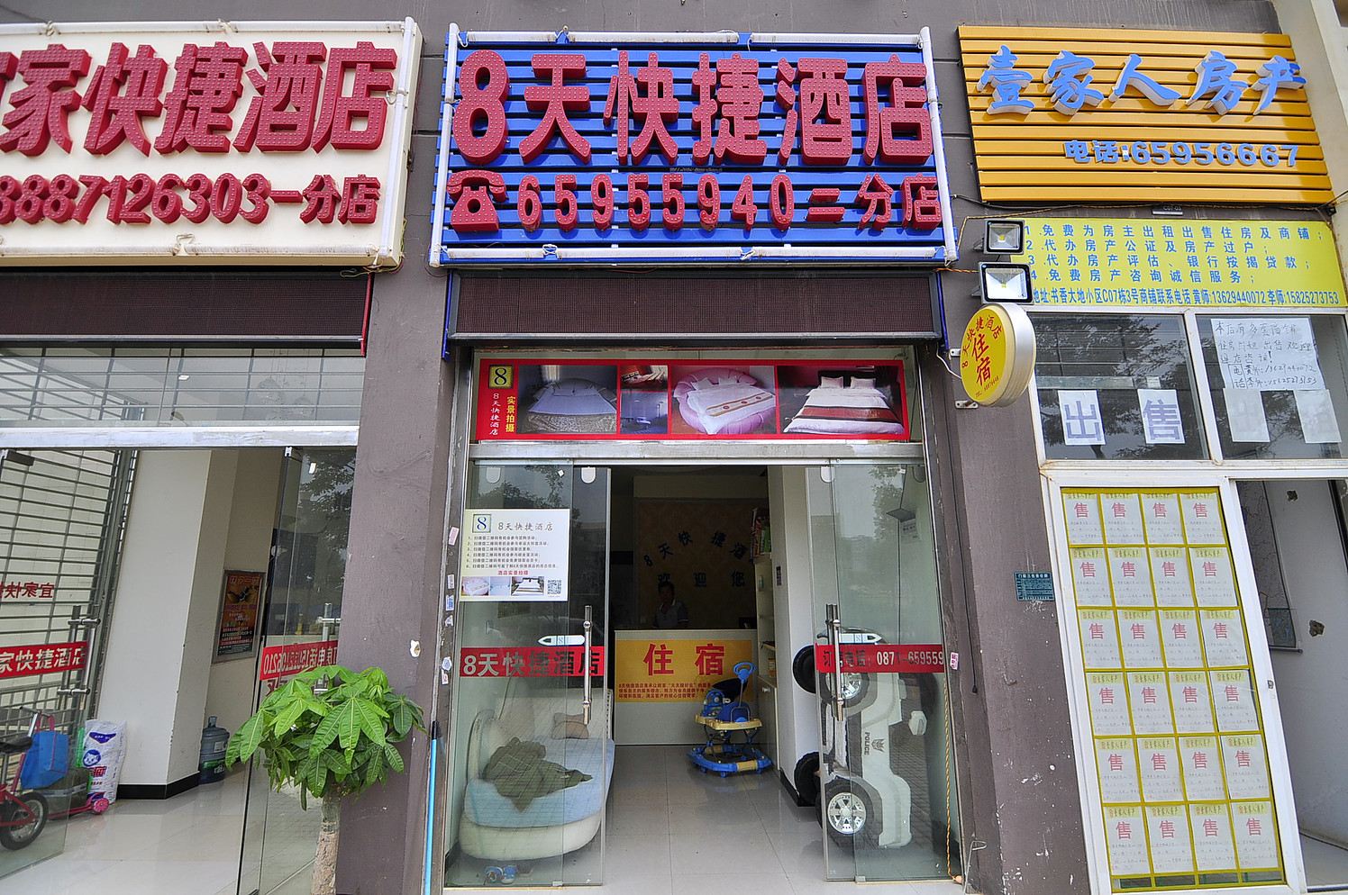 外观